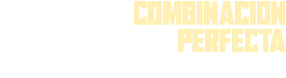 COMBINACION PERFECTA